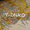 父系单倍群O